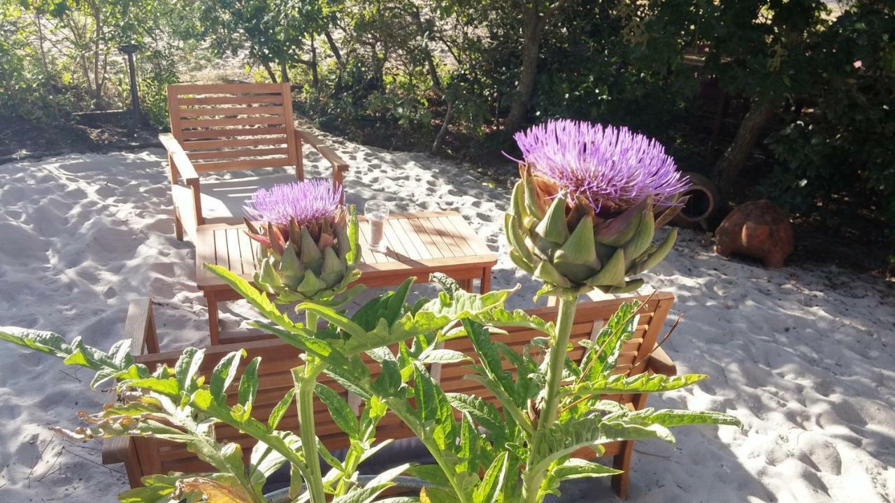 Le Relais De La Praya Bed & Breakfast Lège-Cap-Ferret Exterior foto