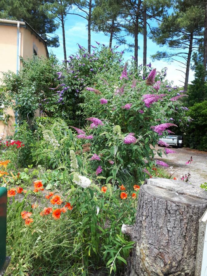 Le Relais De La Praya Bed & Breakfast Lège-Cap-Ferret Exterior foto